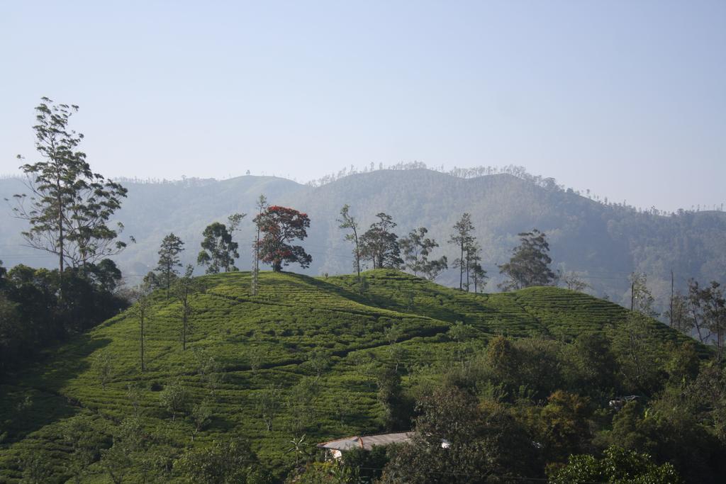 Richard Homestay Ella Buitenkant foto